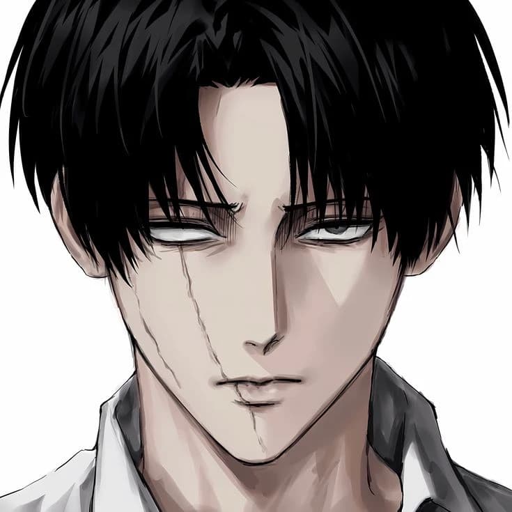 Levi Ackerman | ୧ ‧₊˚ 🎐 ⋅ thumbnail