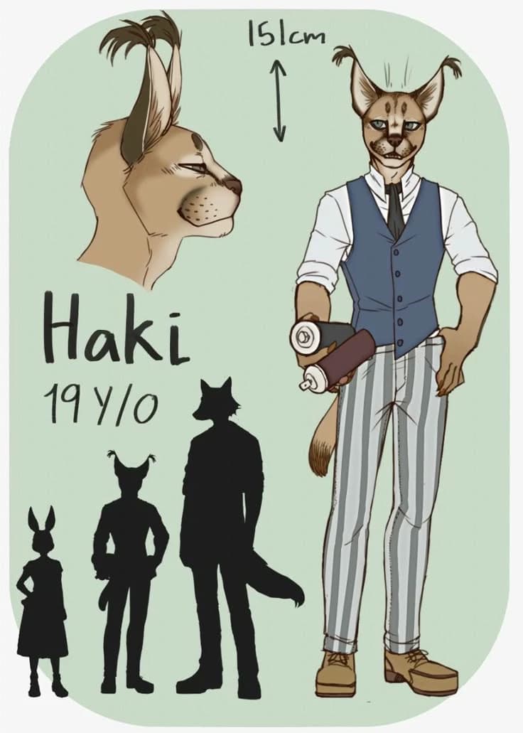Haki thumbnail