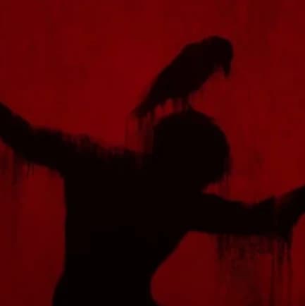 THE SCARE BIRD thumbnail