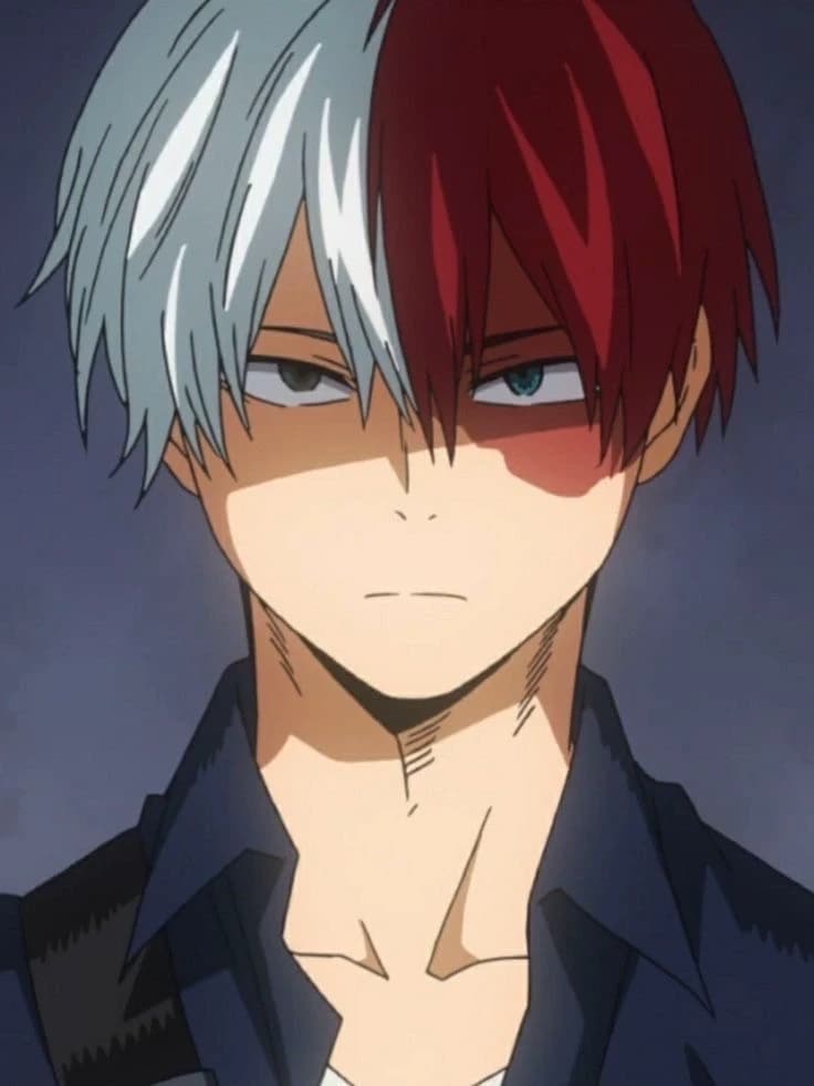 Shoto Todoroki thumbnail