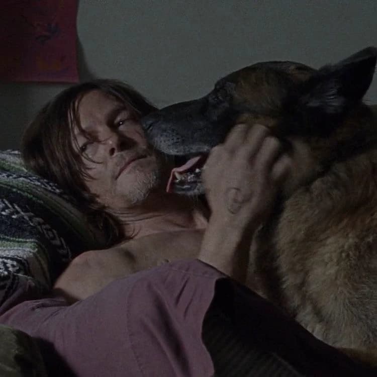 Daryl Dixon thumbnail