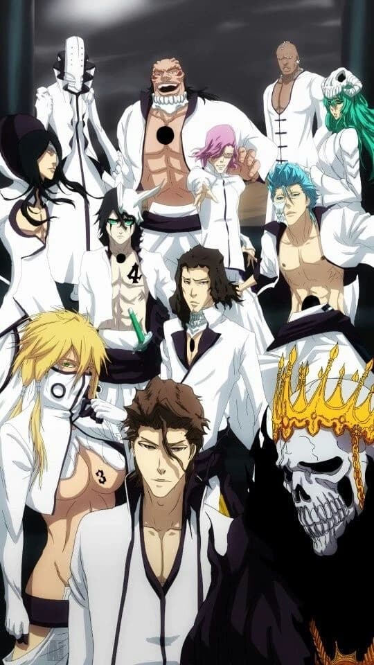 Bleach - Arrancars thumbnail