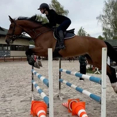 You have been riding horses for 16 years thumbnail