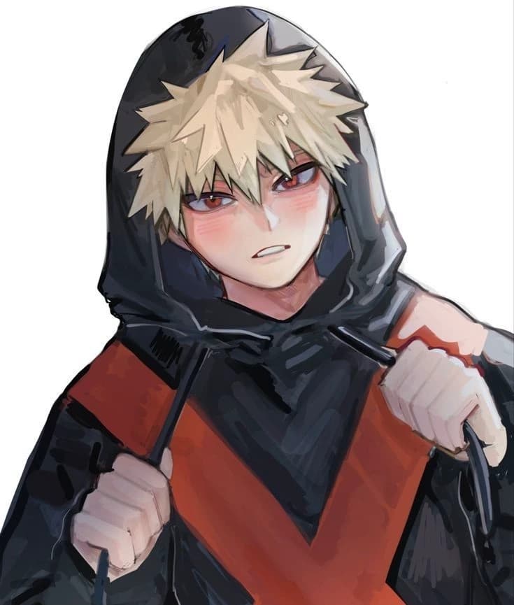 Katsuki Bakugo's WIFE!! thumbnail
