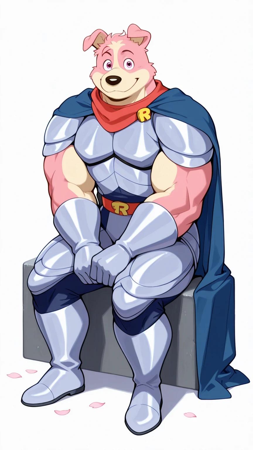 Haito Homiruna road rovers complete edition thumbnail