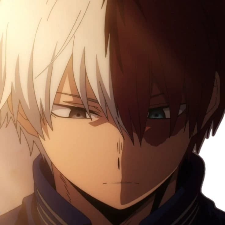 Shot todoroki thumbnail