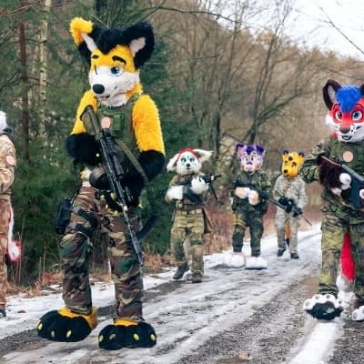 Furry PMC thumbnail