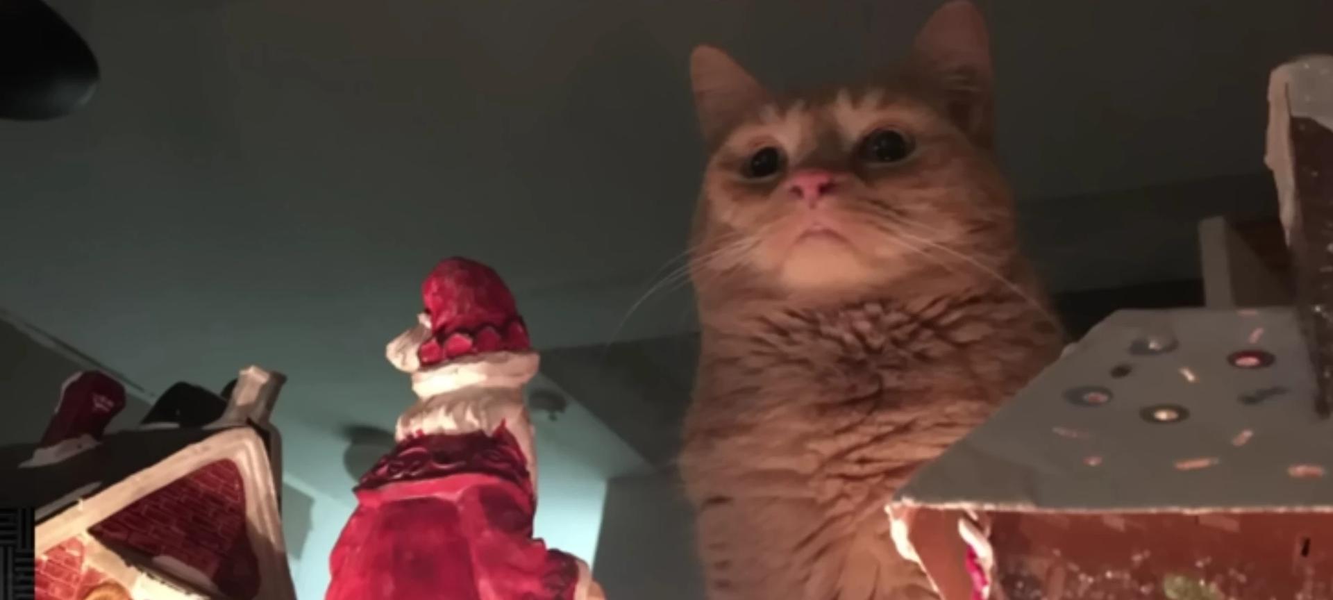 Ang Pao, the monster of Christmas thumbnail