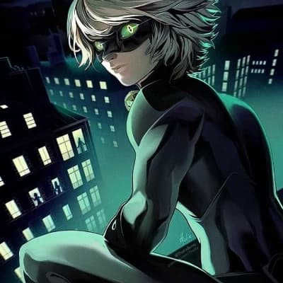 Adrien Agreste / Cat Noir ( 🐈 ⬛ ) thumbnail