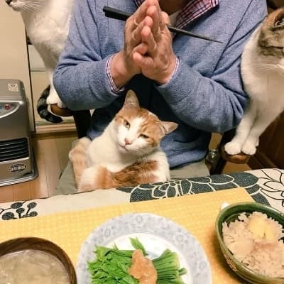 Nakamura, Hiroshi, Naoto thumbnail