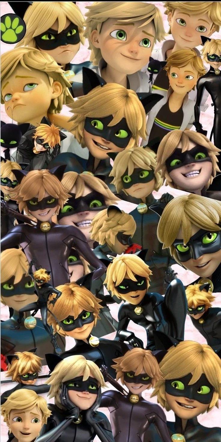 Adrian Rough/ Cat Black thumbnail