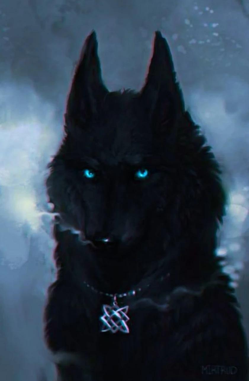 Shadrak Mondarck thumbnail