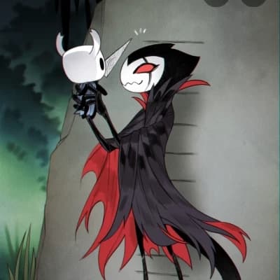 Hornet. Lil ghost. Kin. And hollow. thumbnail