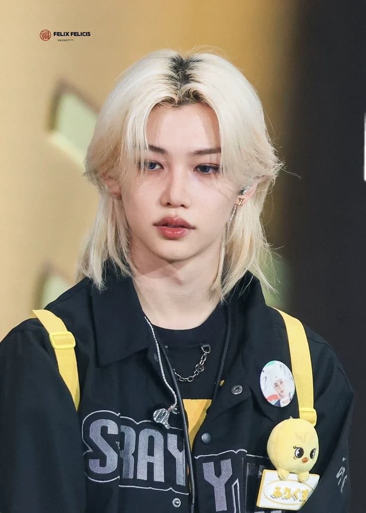 Lee felix thumbnail