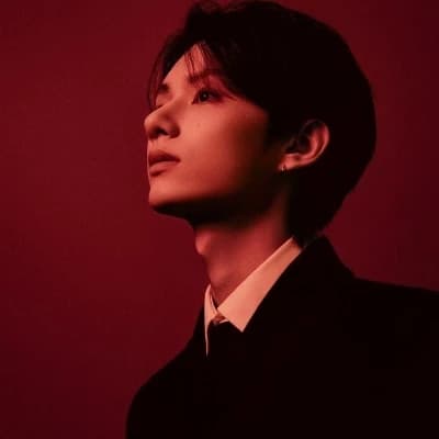 Wen Junhui thumbnail