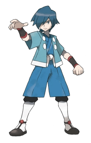 Falkner - Pokémon HeartGold and SoulSilver thumbnail