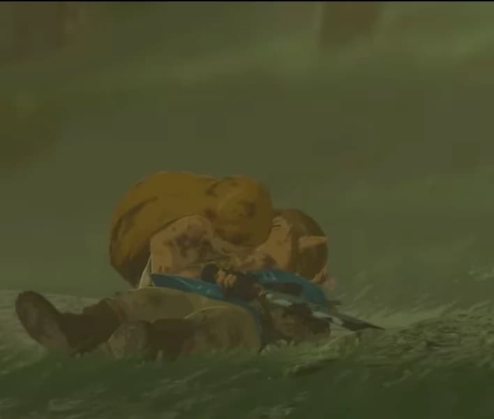 Botw Link thumbnail