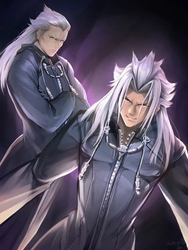 Ansem and Xemnas thumbnail