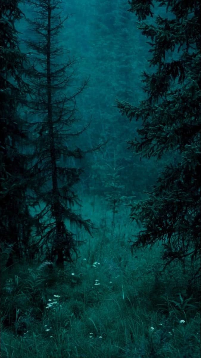 Forks — Black Awakening thumbnail
