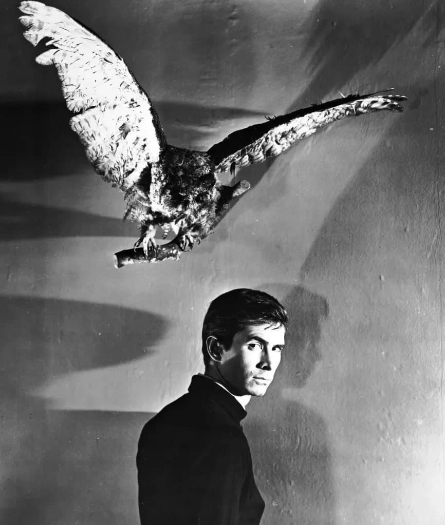 Norman Bates thumbnail