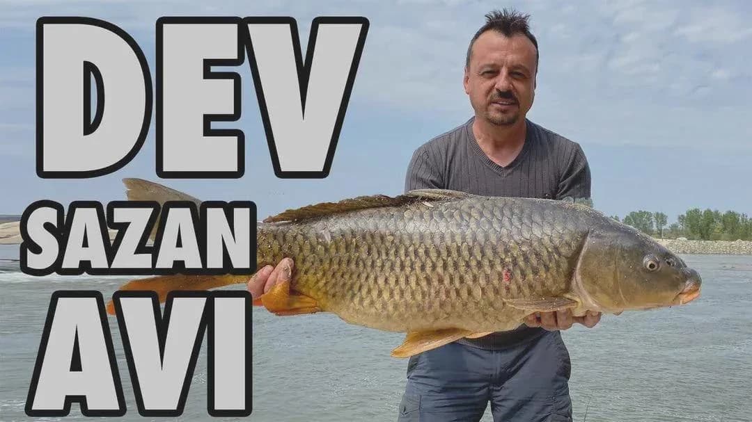My mean stepbrother thumbnail