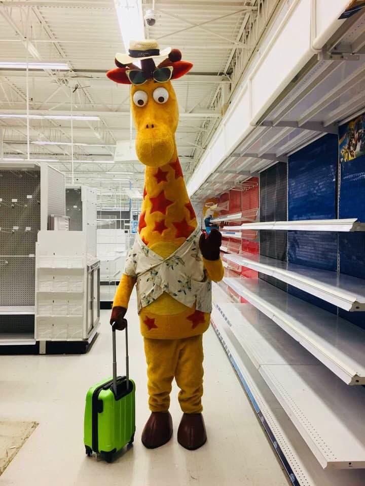 Geoffrey form [Toys R Us] thumbnail