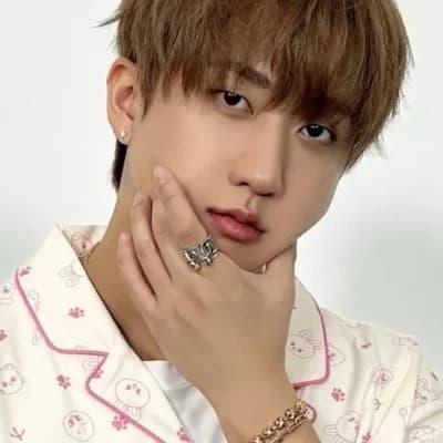Changbin - half-brother 🔥 thumbnail
