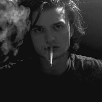 Steve Harrington thumbnail