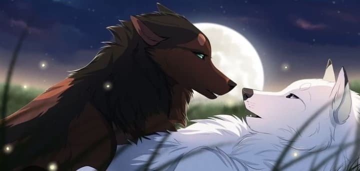 Wild Romance thumbnail