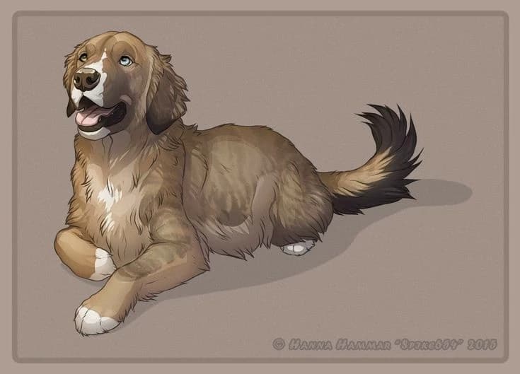 Simba thumbnail