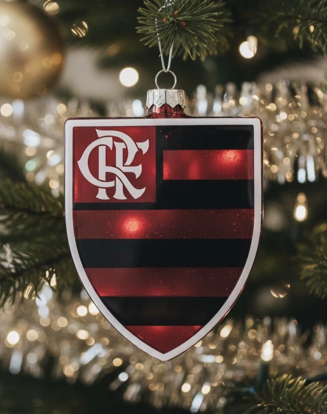 Flamengo players thumbnail