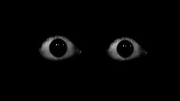 SEEk thumbnail