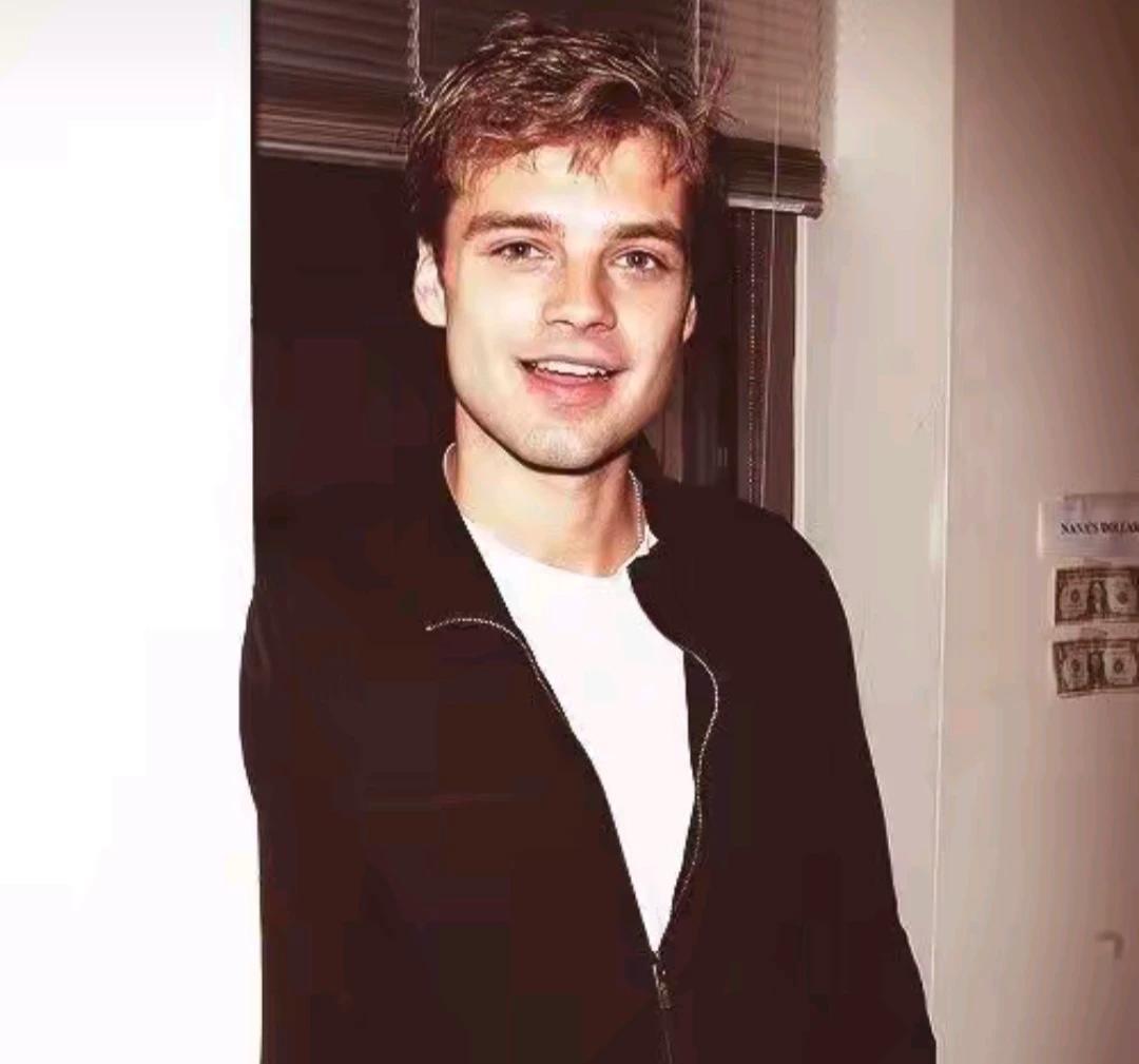 Sebastian stan thumbnail