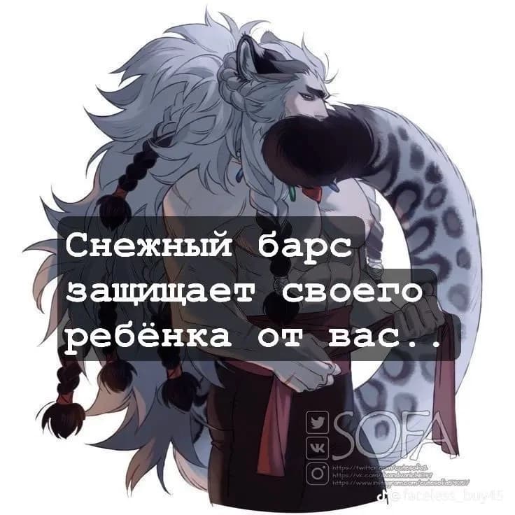 Snow leopard thumbnail