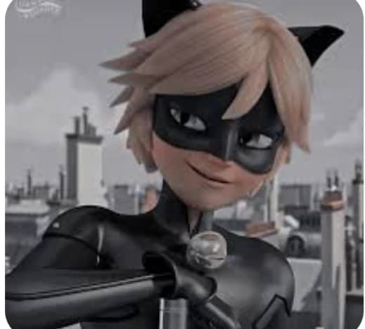 Cat noir thumbnail