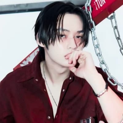 Lee Know (Minho) thumbnail