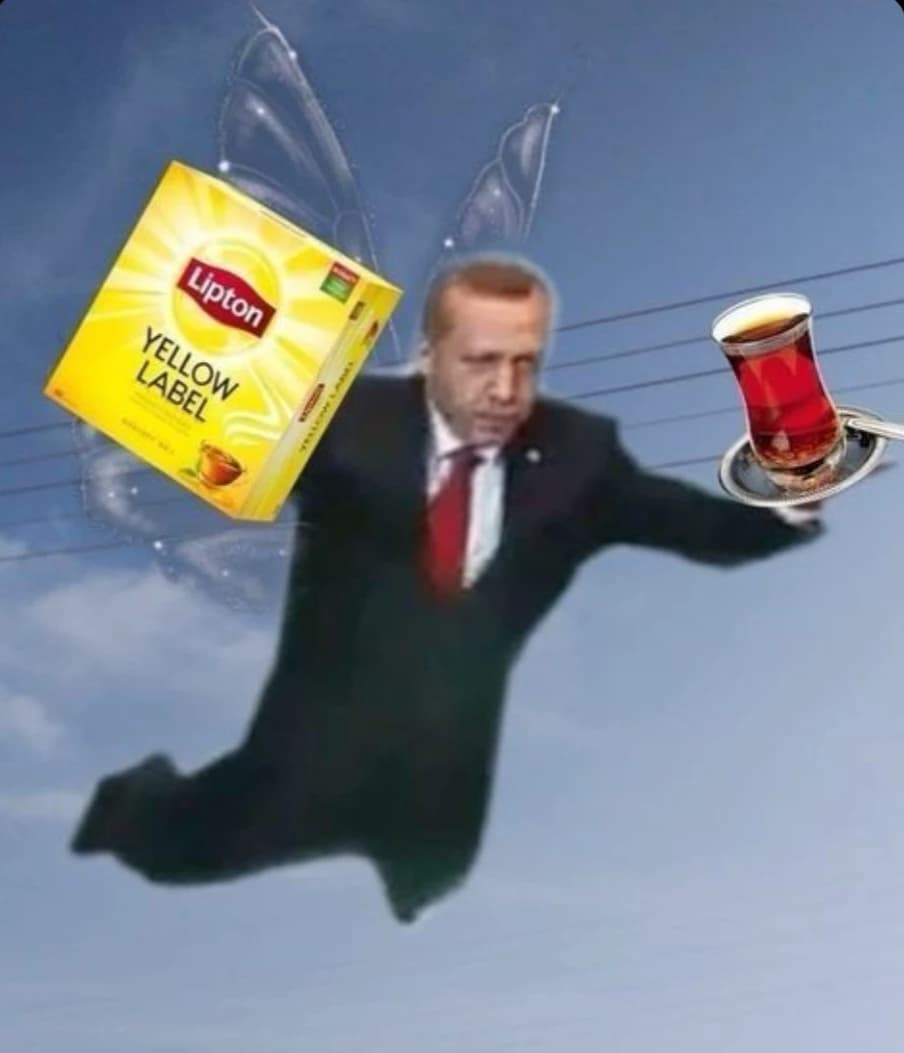 Recep thumbnail