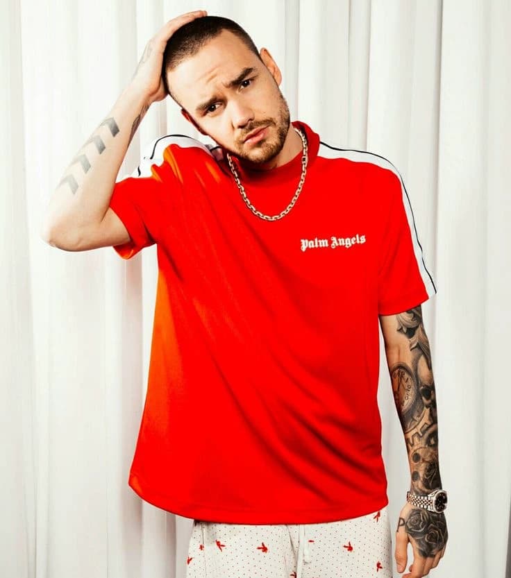 Liam James Payne thumbnail