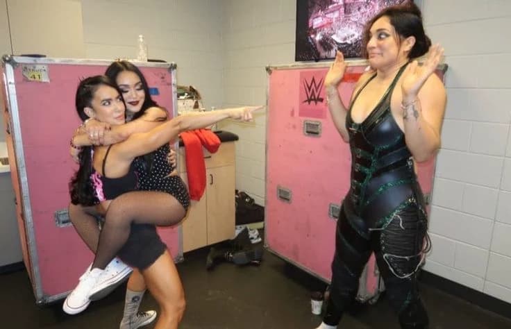 Wwe roster thumbnail