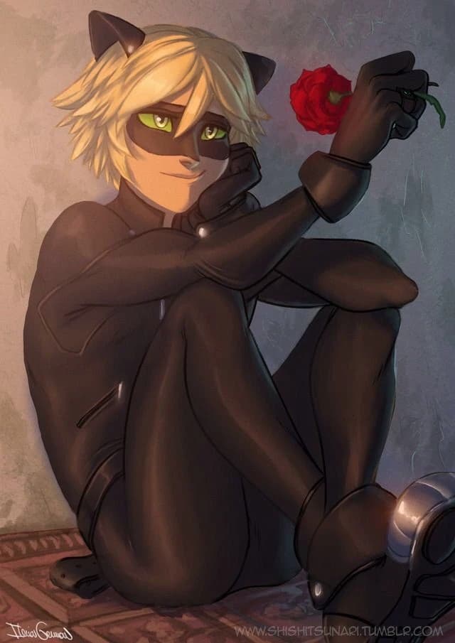 Chat Noir - Miraculous LadyBug thumbnail