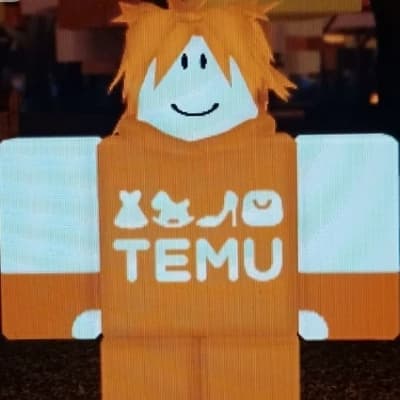 Two Temu thumbnail