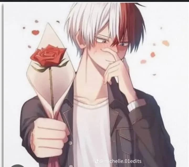 Shoto Todoroki thumbnail