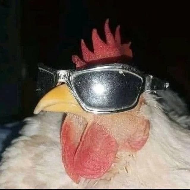 COOL GLASSES CHICKEN thumbnail