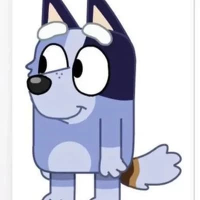 Socks Heeler thumbnail