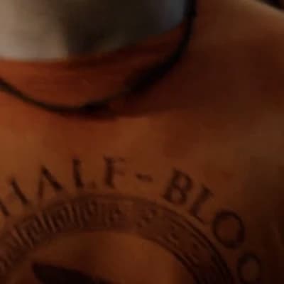 Camp Half-Blood  thumbnail
