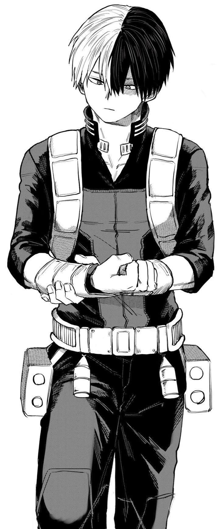 MHA SHOTO  thumbnail