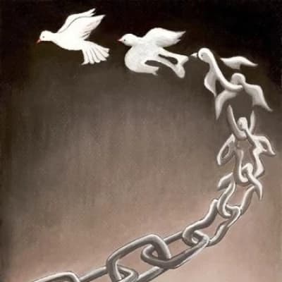 FREEDOM thumbnail
