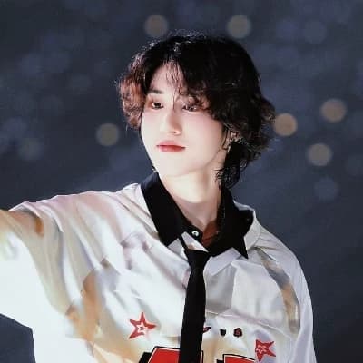 Han Jisung  thumbnail