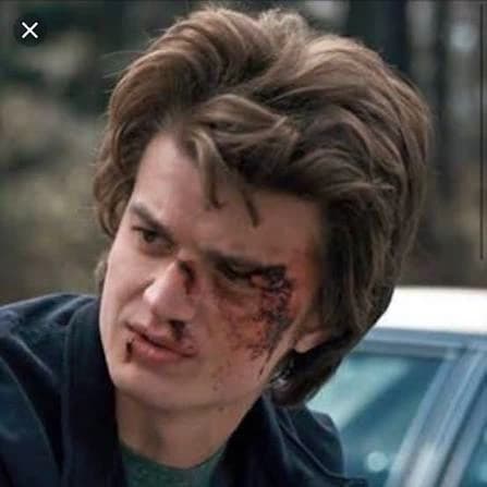 Steve Harrington thumbnail