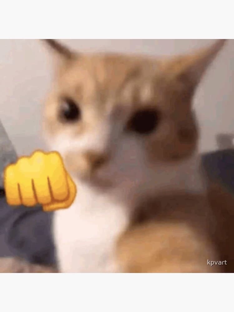 Stray fighting cat thumbnail